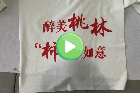 印花抱枕-视频封面.jpg